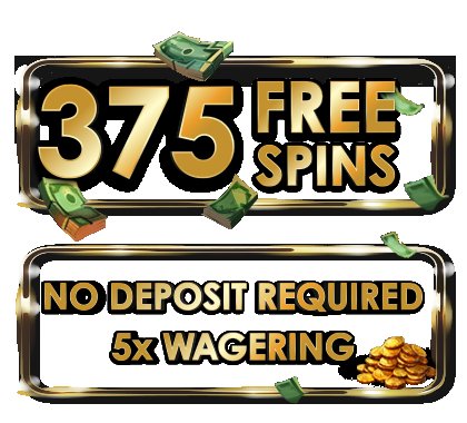  What You’ll Get After Signing Up